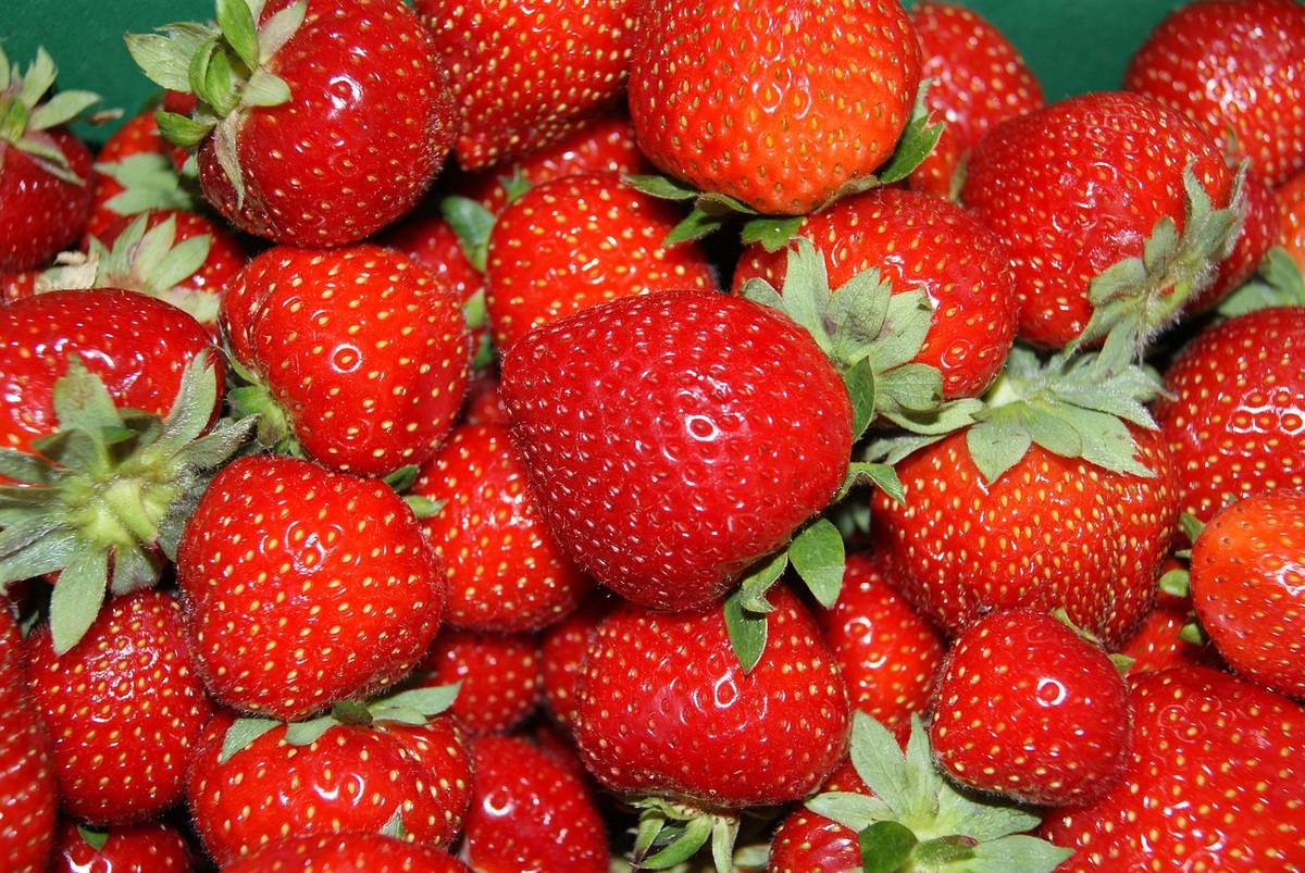 V pátek 29.5.2026 v 11.45 hod.  přijede prodejce a bude nabízet jahody za 129/kg, česnek svazek 149 Kč,  1 palička 20 Kč. Zdrží se asi 1/2 hodiny. Prodej bude probíhat na návsi.