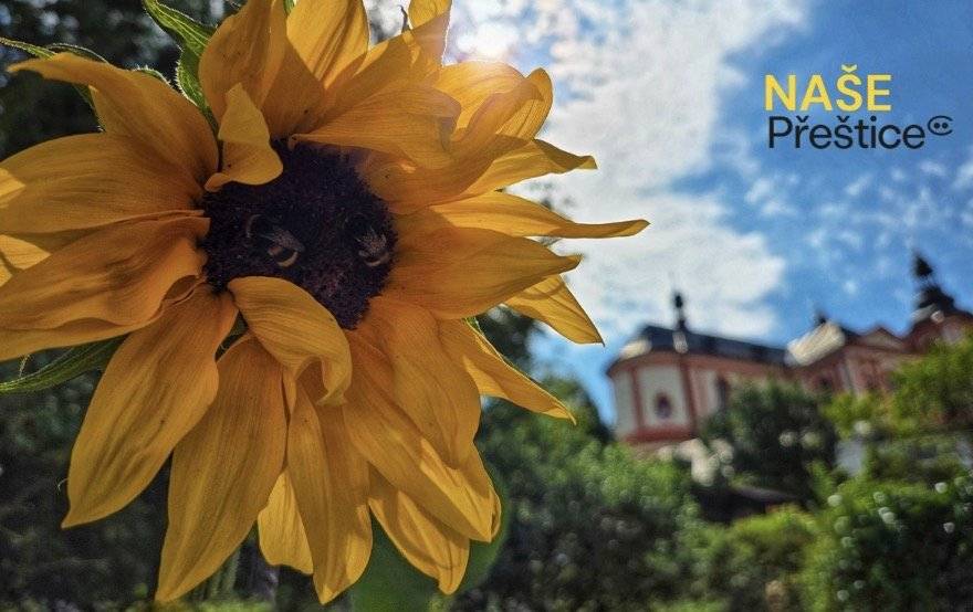 Podpořte projekty, které mají smysl. Udělit můžete až 2 kladné hlasy a 1 záporný.    Hlasování končí dnes o půlnoci: https://www.munipolis.cz/app/anketa/10p-2026
