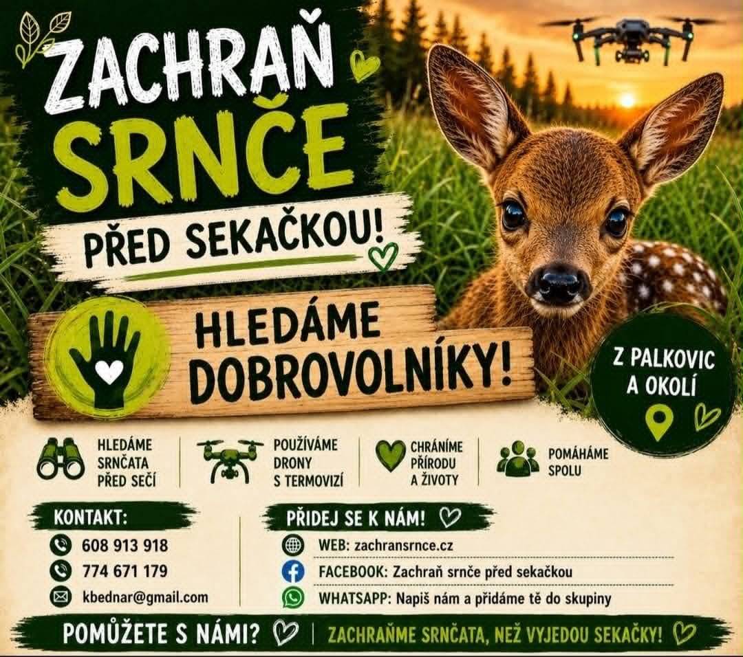 Každé jaro se v travních porostech ukrývají novorozená srnčata. Jejich přirozený instinkt je zůstat nehybně ležet, a právě proto jsou při sečení často neviditelná a ohrožená.        Proto prosíme všechny zemědělce z Palkovic, Chlebovic, Skalice, Bašky, Hodonovic a okolí, dejte nám vědět alespoň den před plánovaným sečením na tel. č. 608 913 918, 774 671 179. S pomocí dobrovolníků a dronů s termovizí přijedeme lokalitu zkontrolovat, srnčata vyhledat a bezpečně přemístit mimo nebezpečí. Vše děláme zdarma a dobrovolně, protože nám záleží na přírodě a životech volně žijících zvířat. Hledáme také nové dobrovolníky! Pokud chcete pomoci při záchraně srnčat nebo se zapojit do práce v terénu, ozvěte se nám. Společně můžeme zabránit zbytečným ztrátám a dát srnčatům šanci na život.