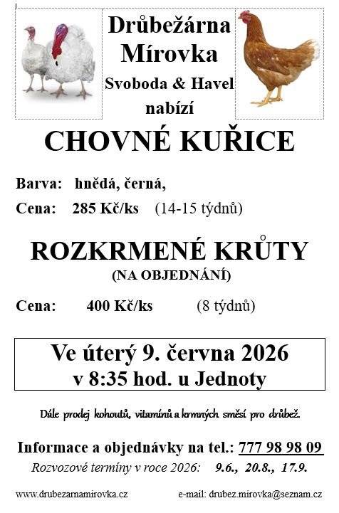 V úterý 9.6. v 8:35 v Želivě u Jednoty se uskuteční prodej kuřic a krůt.
