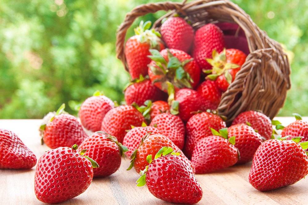 Soukromý prodejce bude nabízet české jahody ze samosběru, ve středu 3.6. Cena 240 Kč s košem, 220 bez koše (v koši 2 kg). Začátek prodej Žehrov na křižovatce 11:00, Žďár u obchodu 11:25, Doubrava u prodejny COOP 11:50. Konec prodeje 12:15.