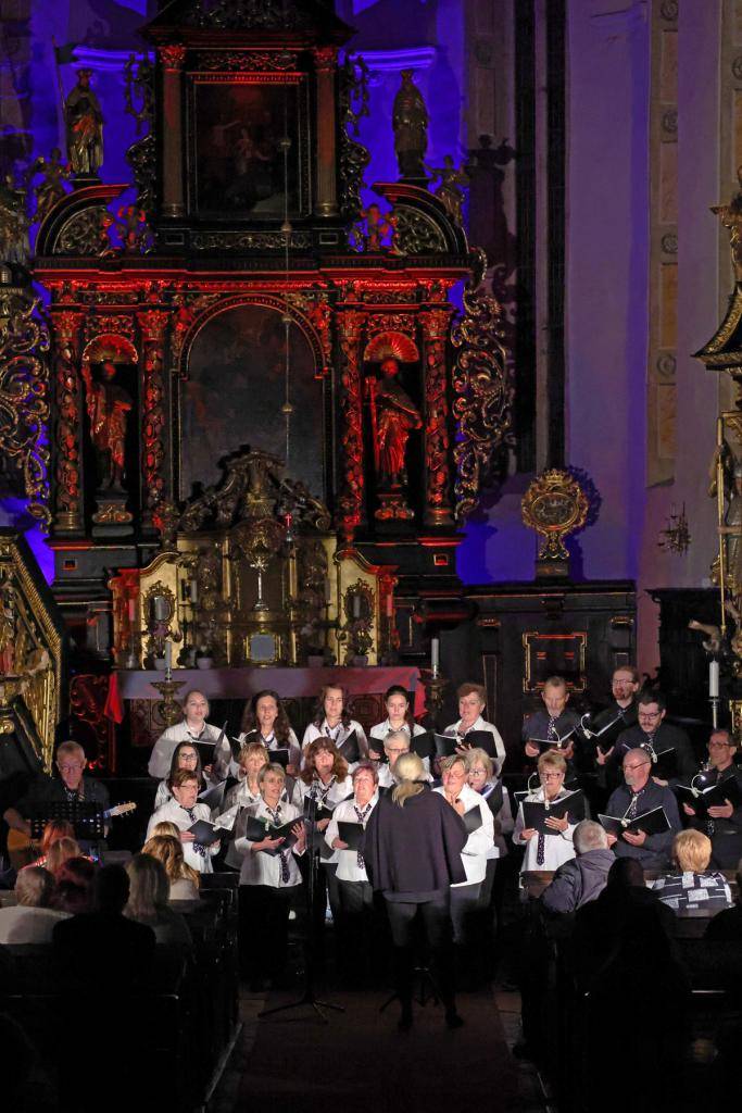 S ohledem na souběžně pořádané Žlutické divadelní léto musel být letošní program Noci kostelů ve Žluticích poněkud upraven a přizpůsoben. Ale vše se povedlo a zájemci si našli čas na obě akce.