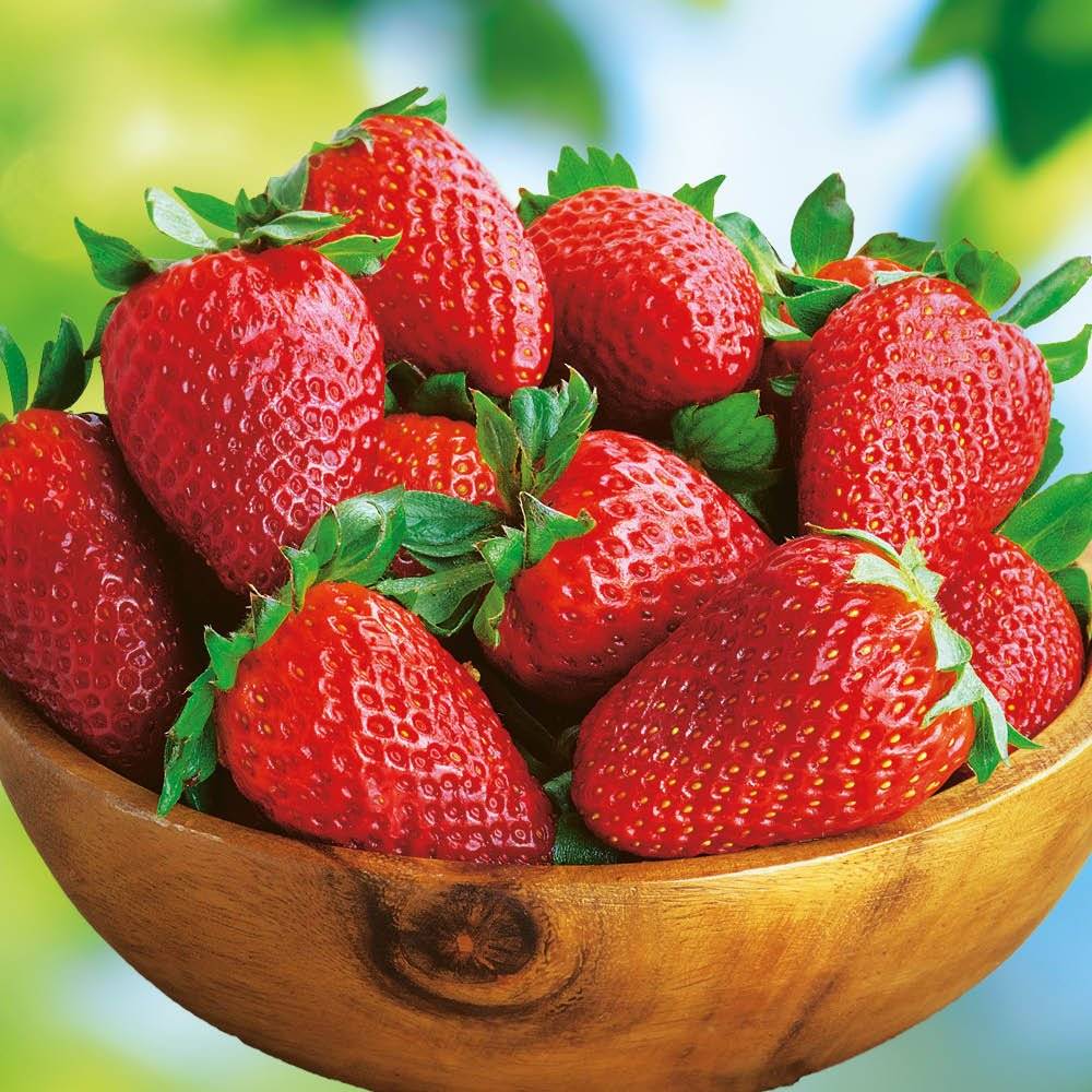 Dnes v 15.00 hod proběhne na náměstí v Křinci prodej jahod od stálého prodejce. Cena 99 Kč/kg. Prodejce se zdrží do vyprodání zásob.