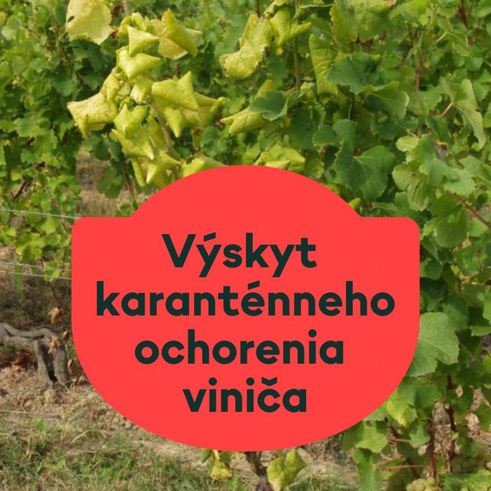 Na základe aktuálneho vývoja počasia a výskytu americkej cikády odporúča Ústredný kontrolný a skúšobný ústav poľnohospodársky vykonať ochranné ošetrenie vinohradov proti tomuto škodcovi v nasledovných termínoch:  • v najjužnejších oblastiach od 23. mája 2026 - okres Senec