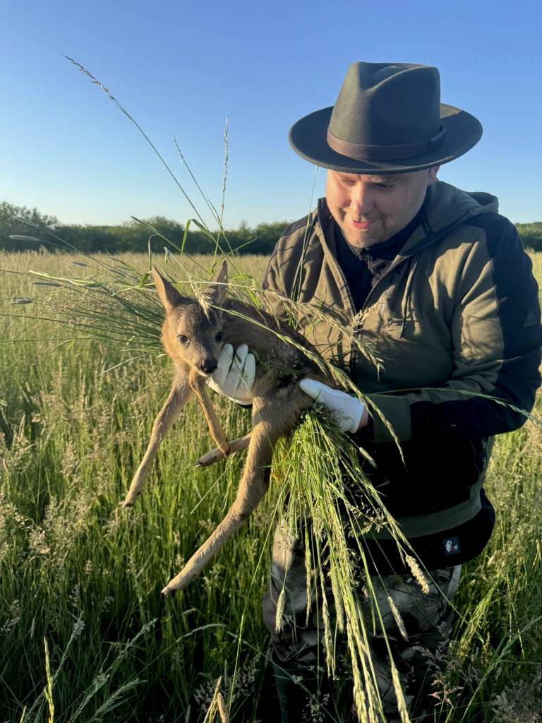 Milí občané, možná jste si všimli, že v těchto dnech postupně probíhá sečení travin na menších i větších loukách a polích. Právě v tomto období se však v porostech často ukrývají malá srnčata, která při nebezpečí neutíkají, ale zůstávají nehybně ležet. Není nám proto lhostejné předcházet jejich zbytečnému úhynu a utrpení. Díky...