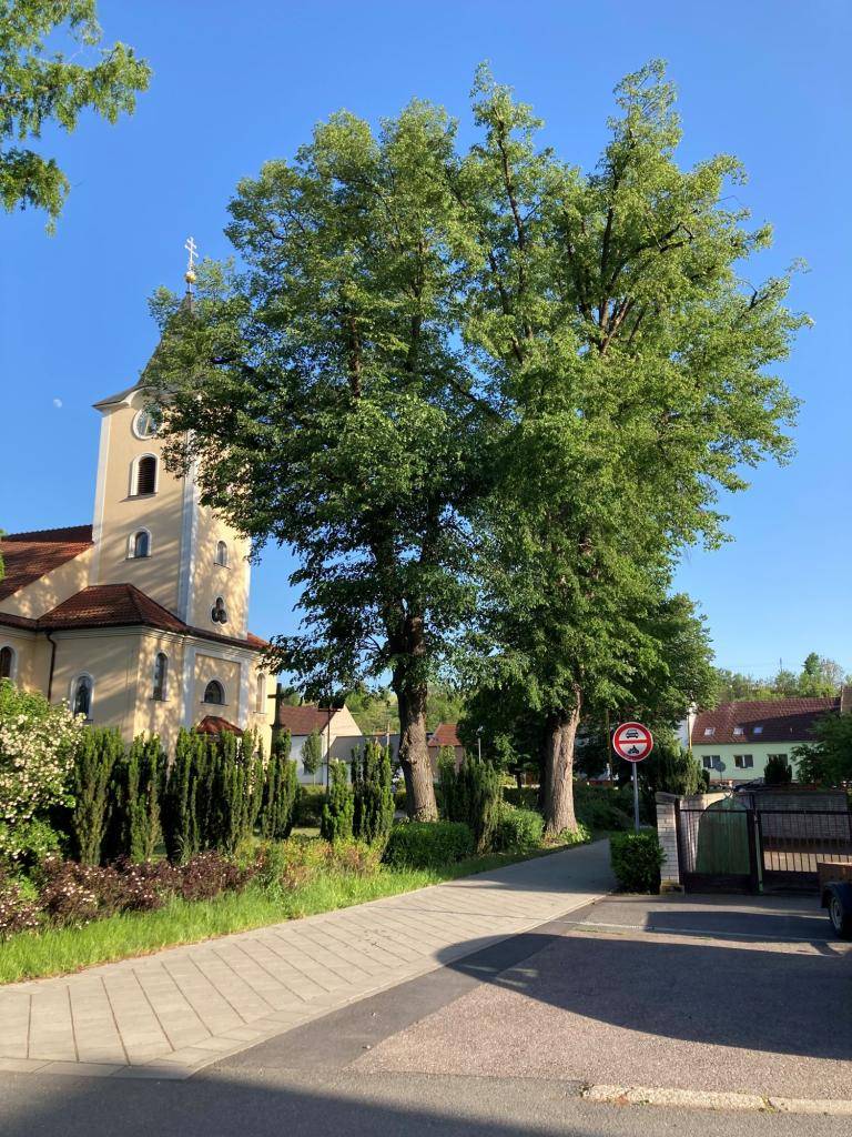 Obec Šumice věnuje pozornost péči o veřejnou zeleň, která tvoří nedílnou součást kvalitního životního prostředí a přispívá k atraktivnímu vzhledu obce. Významným krokem v této oblasti bylo odborné ošetření tří vzrostlých lip u místního kostela Narození Panny Marie.
