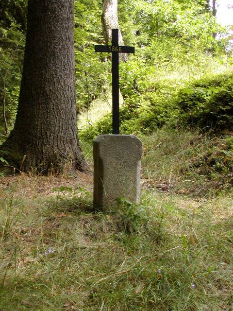 Drobné vojenské památky se i letos dočkají obnovy. Celkem 27 pomníků na vojenských hrobech z prusko-rakouské války roku 1866 projde restaurováním. Na tento projekt, který citlivě pečuje o historické dědictví, se radnici podařilo získat dotaci od Královéhradeckého kraje ve výši 91 tisíc Kč.                               Číst dál...