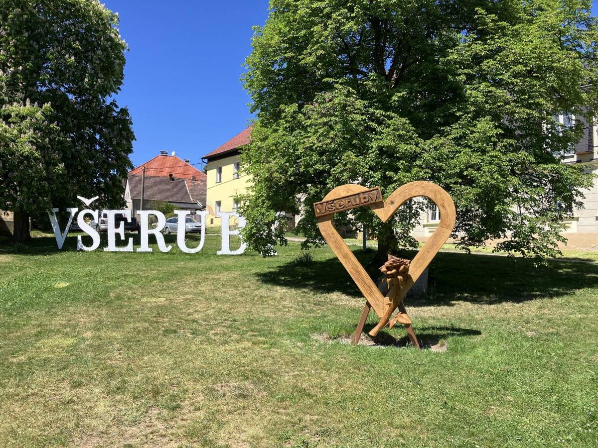 Všimli jste si, že u nás v minulých dnech vyrostly dřevěné sochy jako houby po dešti?