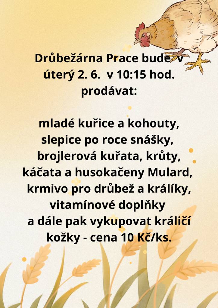 Drůbežárna Prace bude  v úterý 2. 6.  v 10:15 hod. prodávat:     mladé kuřice a kohouty, slepice po roce snášky,   brojlerová kuřata, krůty, káčata a husokačeny Mulard,   krmivo pro drůbež a králíky, vitamínové doplňky   a dále pak vykupovat králičí kožky - cena 10 Kč/ks.