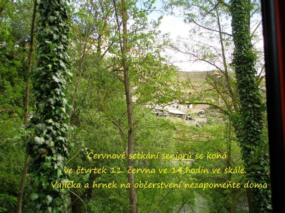 Červnové setkáhí seniorů se uskuteční ve čtvrtek 11.6. od 14:00 ve Skále. Vajíčka a hrnek na občerstvení nezapomeňte doma.