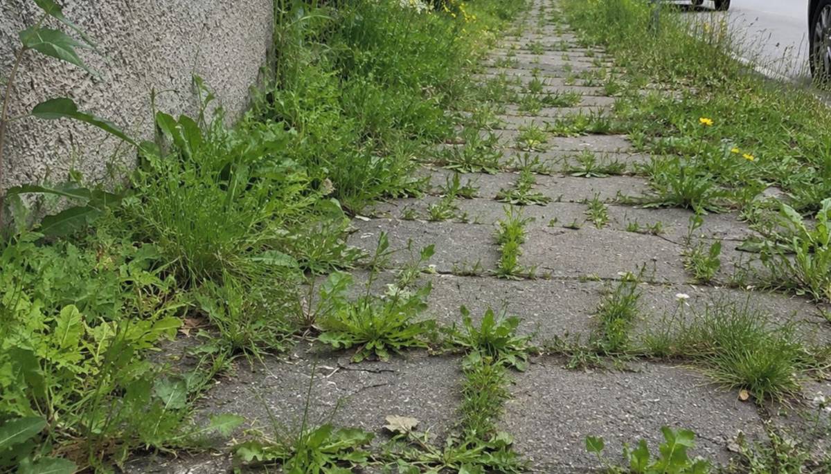Zlín – Technické služby Zlín provedou v termínu 1.–7. 6. 2026 postřik chodníků za účelem potlačení plevelů.