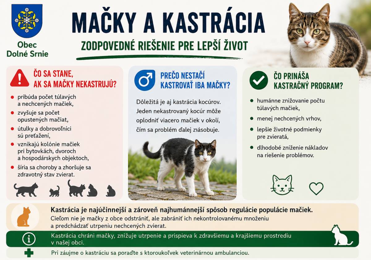 Mačky a kastrácia