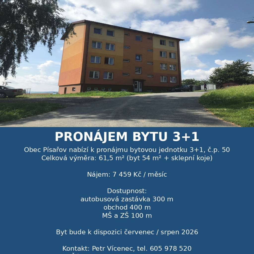 pronájem
