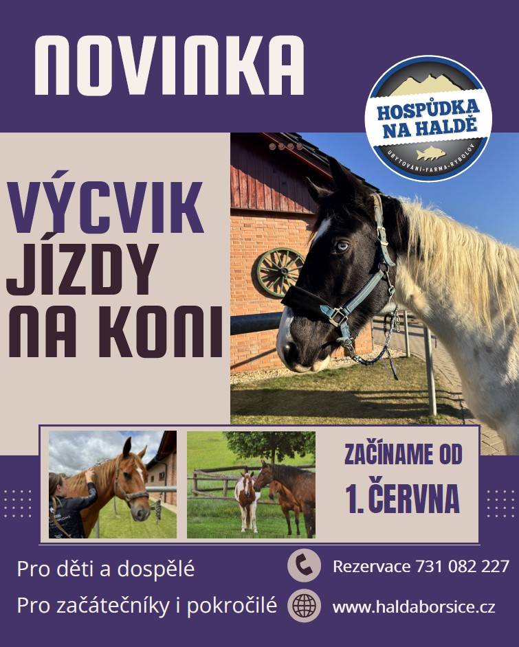 Hospůdka na Haldě v Boršicích si vás dovoluje pozvat na novinku letošní sezóny – výcvik jízdy na koni pro děti i dospělé.    Lekce jsou určeny jak pro úplné začátečníky, tak pro pokročilé jezdce. Pod vedením zkušeného instruktora si můžete vyzkoušet první kontakt s koňmi.