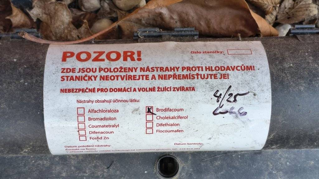 Informace hl. města Prahy k provádění opakované deratizace na území hlavního města Prahy v roce 2026: Hlavní město Praha bude letos zajišťovat cyklickou deratizaci na plochách, které vlastní a přímo spravuje, a dále v kanalizační síti. V Praze-Vinoř proběhne deratizace ve dvou termínech, 8. 6. – 21. 6. 2026 a 18. 8. – 31. 8. 2026, a to v ulici Mladoboleslavská v místě zástavby. Deratizace bude provedena na základě smluvního vztahu s příslušnými odbornými firmami a s výhradním použití přípravků registrovaných v České republice. Současně bude postupováno dle Metodického pokynu Státního zdravotního ústavu pro provádění speciální ochranné deratizace. PhDr. Pavel Uhlík, MPA ředitel odboru sociálních věcí a zdravotnictví Magistrátu hlavního města Prahy
