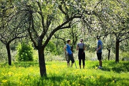 Přihlášky Mgr. Kvasnička Milan, 606461452, podrobnosti plakátek.
