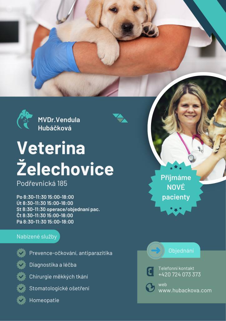 Vše najdete v příloze