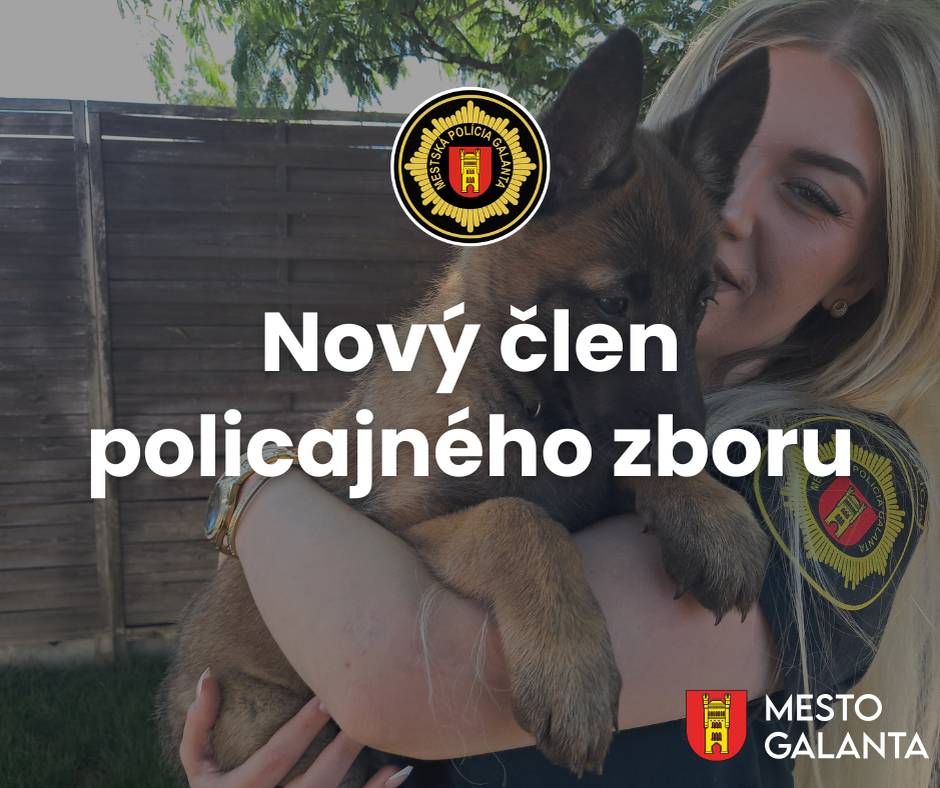 Služobný pes je často ten prvý, kto vstupuje do nebezpečenstva, aby chránil svojho psovoda aj nás všetkých. Každý jeden prechádza prísnymi zdravotnými kontrolami a náročnými testami povahy – pretože tu nejde o počet, ale o kvalitu, odvahu a spoľahlivosť.