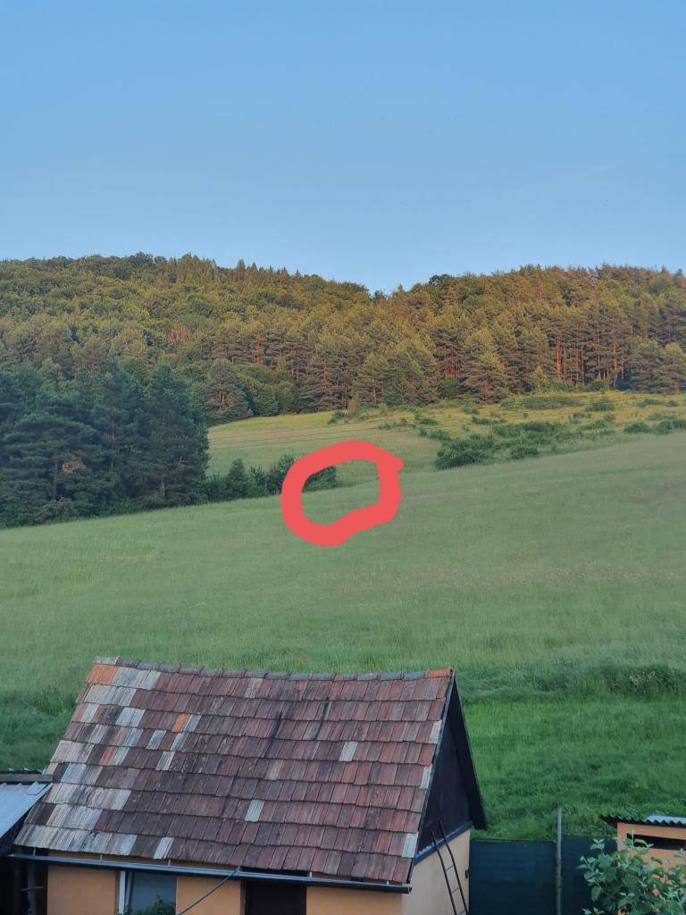 Dnes podvečer sa v blízkosti domov nad ulicou Vansovou pohyboval medveď. Občanom sa odporúča zvýšiť opatrnosť a dodržiavať bezpečnostné opatrenia.