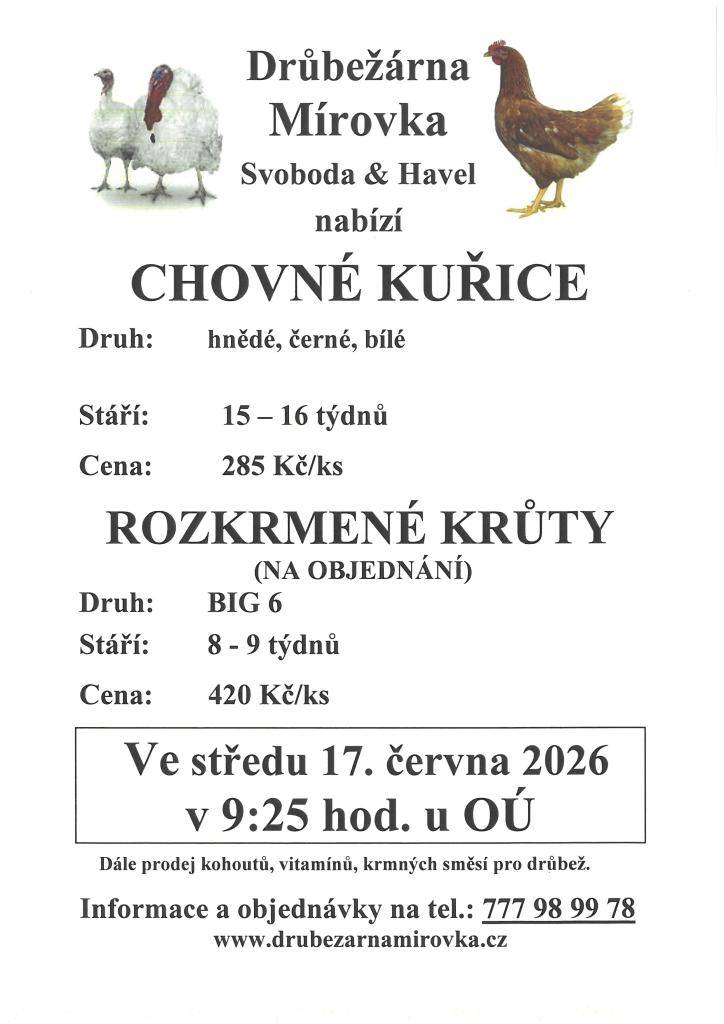 Drůbežárna Mirovka zve všechny zájemce na prodej chovných kuřic a krůt. Chovné kuřice ve stáří 15 až 16 týdnů jsou k dispozici v barvách hnědé, černé a bílé. Rozkrmené krůty plemene BIG6, ve stáří 8 až 9 týdnů, jsou dostupné na objednání.