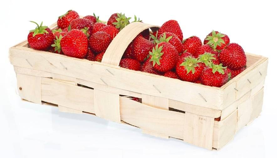 Soukromý prodejce bude prodávat:    ČESKÉ JAHODY - 2KG KOŠ 230,-  SLOVENSKÉ JAHODY - 2KG KOŠ 200,-  ZÁLOHA KOŠÍK 20,-