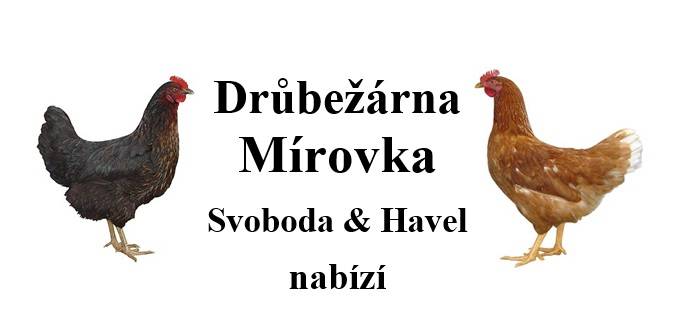 Drůbežárna Mírovka - prodej chovných kuřic