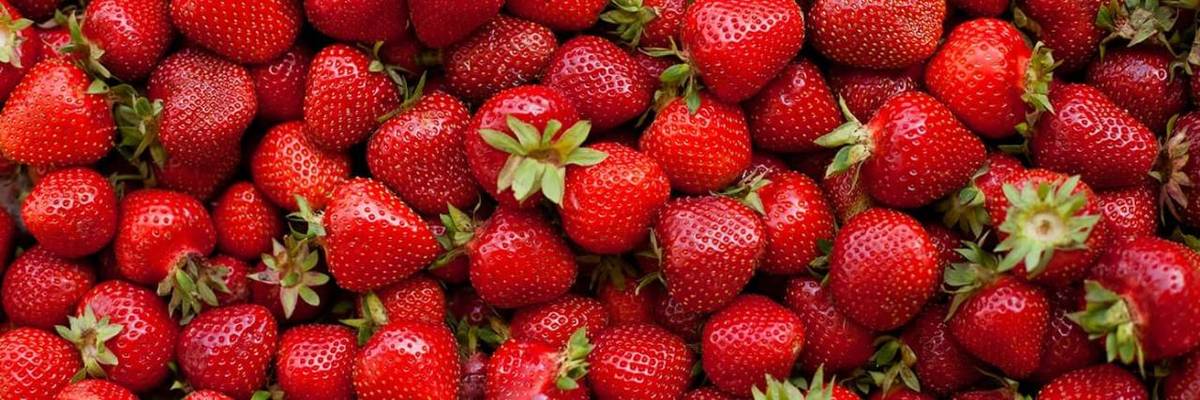Ve čtvrtek 11. 6. na parkovišti u obecního úřadu od 8:30 do 9:00. Cena 89 Kč/kg.