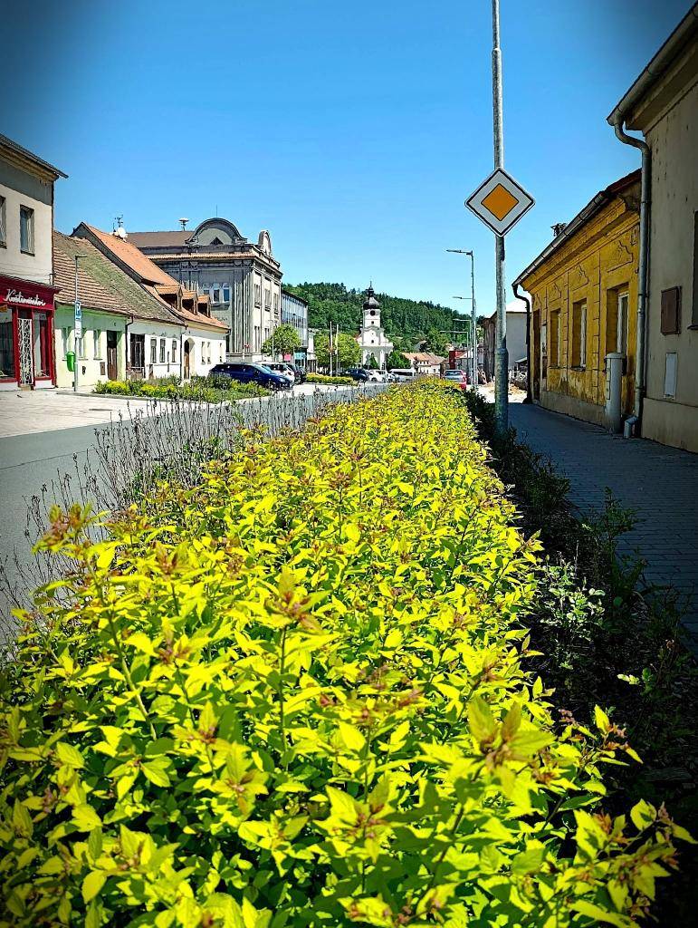 Rozkvetlé Radnice zaujaly Rokycanský deník.