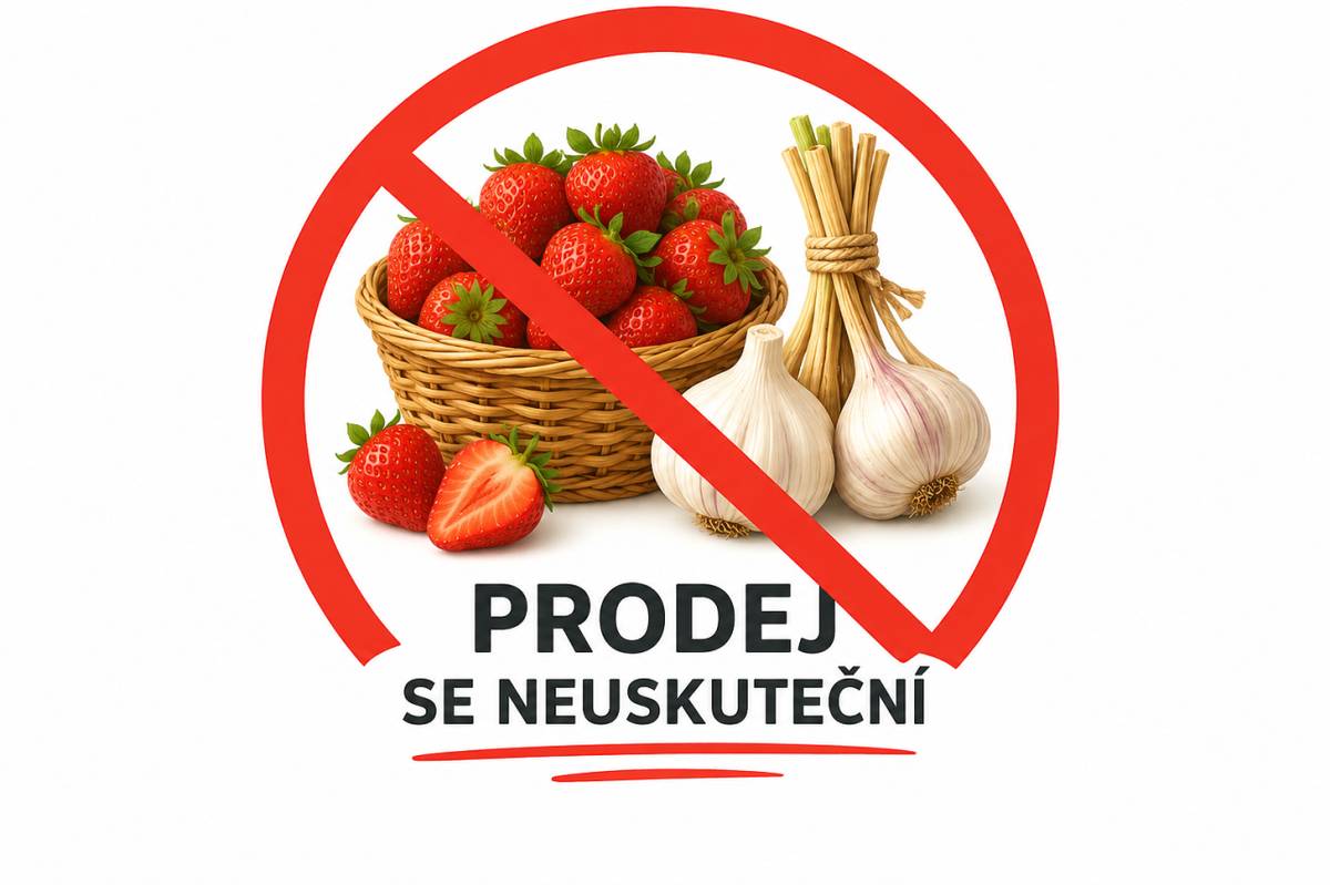 Plánovaný dnešní prodej jahod a česneku u obecního úřadu se neuskuteční. Prodejce se omlouvá, ale vzhledem k velkému zájmu veškeré zboží vyprodal a do naší obce již dnes nepřijede. Děkujeme za pochopení.