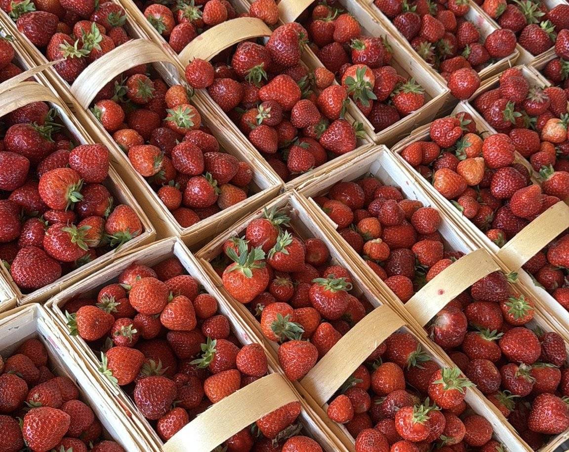 V chaloupce na náměstí dnes můžete mít 1kg jahod za 79 Kč - akce platí pouze do vyprodání dnešních zásob. Přijďte, jsme tu pro Vás.