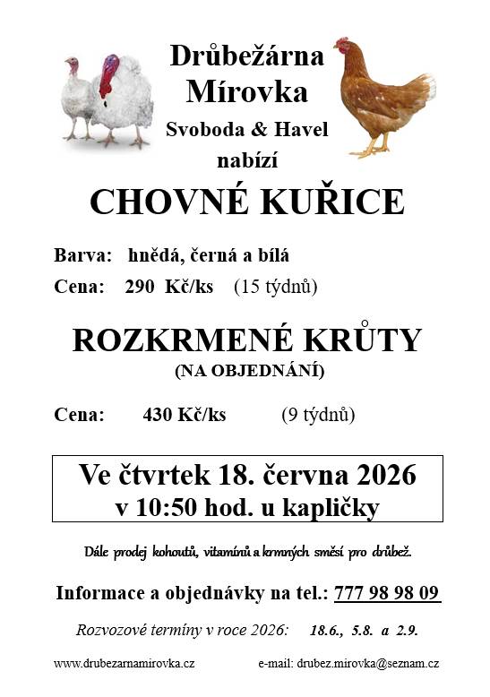 DRŮBEŽÁRNA MÍROVKA, Svoboda-Havel, prodává  ve čtvrtek 18. června 2026 v 10:50 hod.  u kapličky v Kladrubech   nosné kuřice (hnědé, černé) - stáří 15 týdnů, cena 290 Kč a rozkrmenné krůty - stáří 9 týdnů, cena 430 Kč   Objednání (doporučujeme) je možné na tel.: 777 98 98 09 nebo drubez.mirovka@seznam.cz.