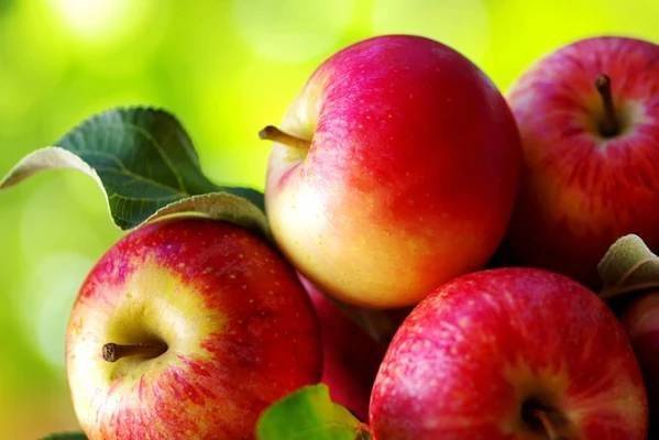 Zítra, v úterý 9.6.2026, přijede do naší obce prodejce jablek od Jičína v ceně 23Kč/kg. V Čachovicích bude prodej od 14:00 u KAPLIČKY, ve Struhách od 14:15 na návsi.