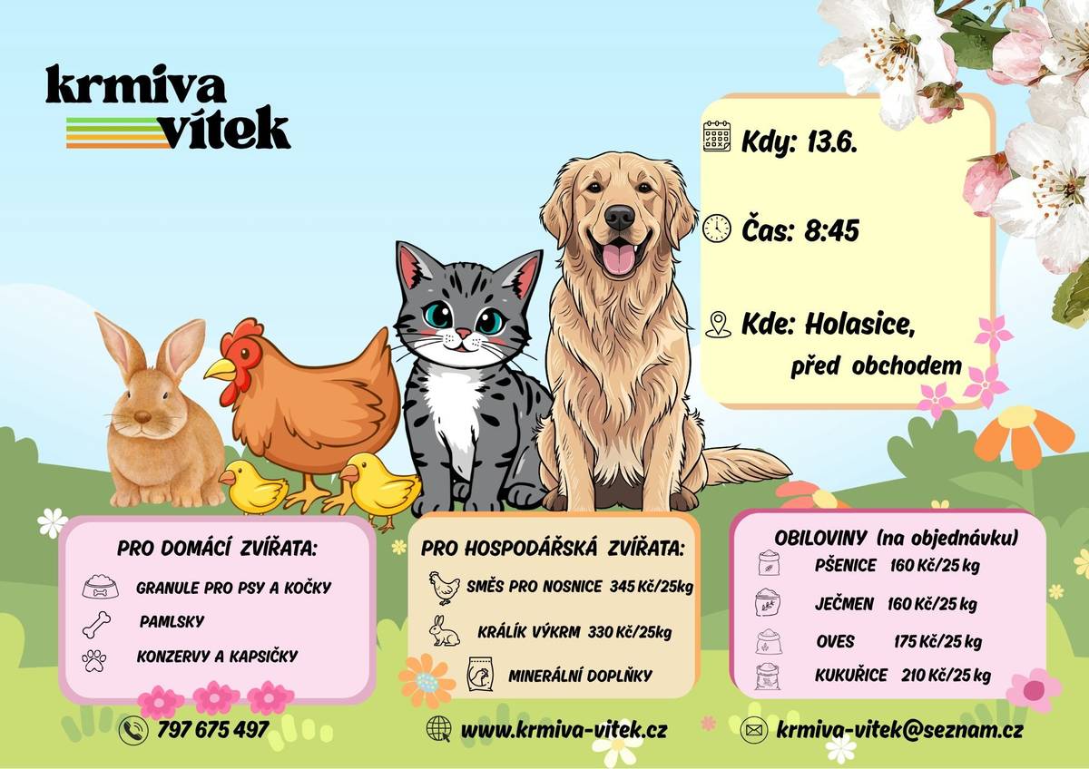 1)   Starostka obce Holasice zve občany obce na 25. zasedání Zastupitelstva obce, které se bude konat ve čtvrtek 11.6.2026 od 18:00 v zasedací místnosti OÚ Holasice.  2)   Kominictví Letko oznamuje občanům, že 16.6. bude v naší obci    provádět kominické práce. Nabízí kontroly a čištění spalinových cest, strojní odstranění dehtu, revize kotlů a kamen a další kominické služby. Zájemci se mohou objednat na telefonním čísle 725 164 541.  3)   Firma Vítek bude prodávat krmiva pro domácí a hospodářská zvířata. Nyní v nabídce krmné směsi od značky Bocus: Králík výkrm od 330Kč/25 kg, Nosnice 345Kč/25 kg a kapsičky pro kočky od 4,50 Kč/ks. Dále proběhne výkup králičích kůží za 15Kč/Ks. Prodej proběhne v sobotu 13.6. v 8:45 před obchodem.