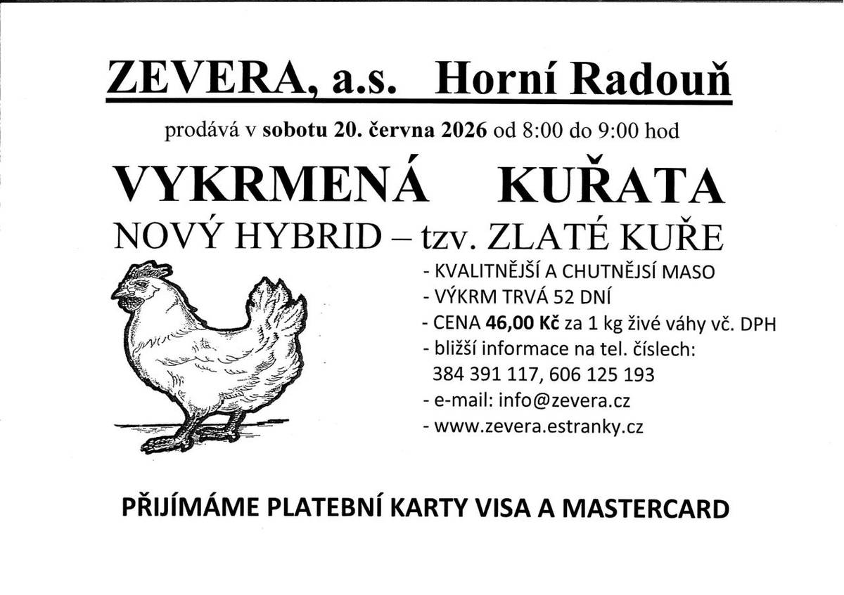 prodej kuřat