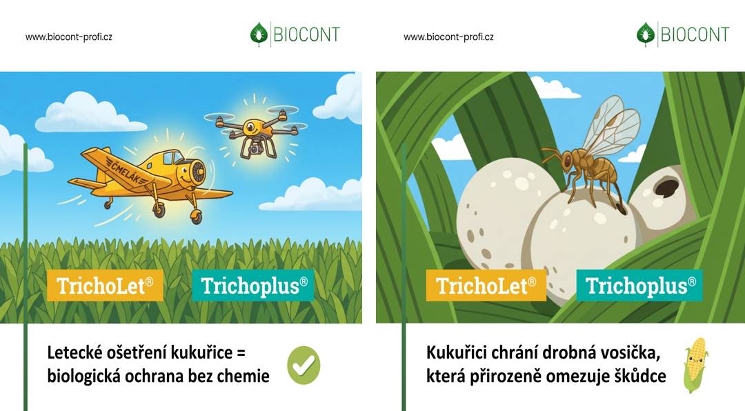 Společnost BIOCONT LABORATORY upozorňuje, že bude provádět v katastru obce Lanžhot leteckou aplikaci biologickým prostředkem TrichoLet, jehož účinnou složkou je drobná parazitická chalcidka Trichogramma evanescens.   Pro více informací rozklikněte.