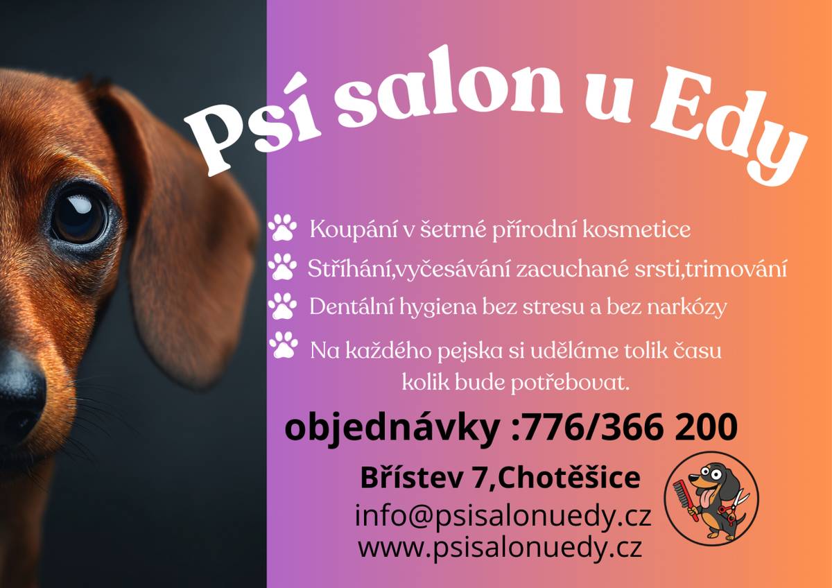 Psí salon U Edy - nabídka služeb