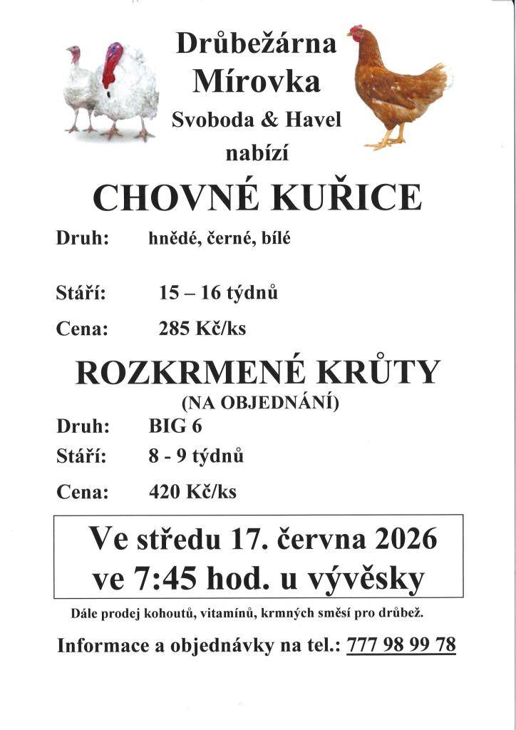 Drůbežárna Mírovka přijede ve středu 17.6.2026  v 7:45 hod. Na Rynku prodávat chovné kuřice, barva: hnědá, černá, bílá. Stáří 15 -16.týdnů, cena 285,-Kč/ks. Rozkrmené krůty ,BIG 6, stáří 8.-9.týdnů, cena 420,-Kč./ks. Informace a objednávky na tel.č.777 98 99 78.