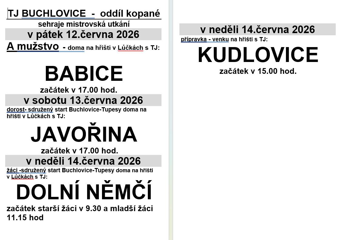 - oddíl kopané