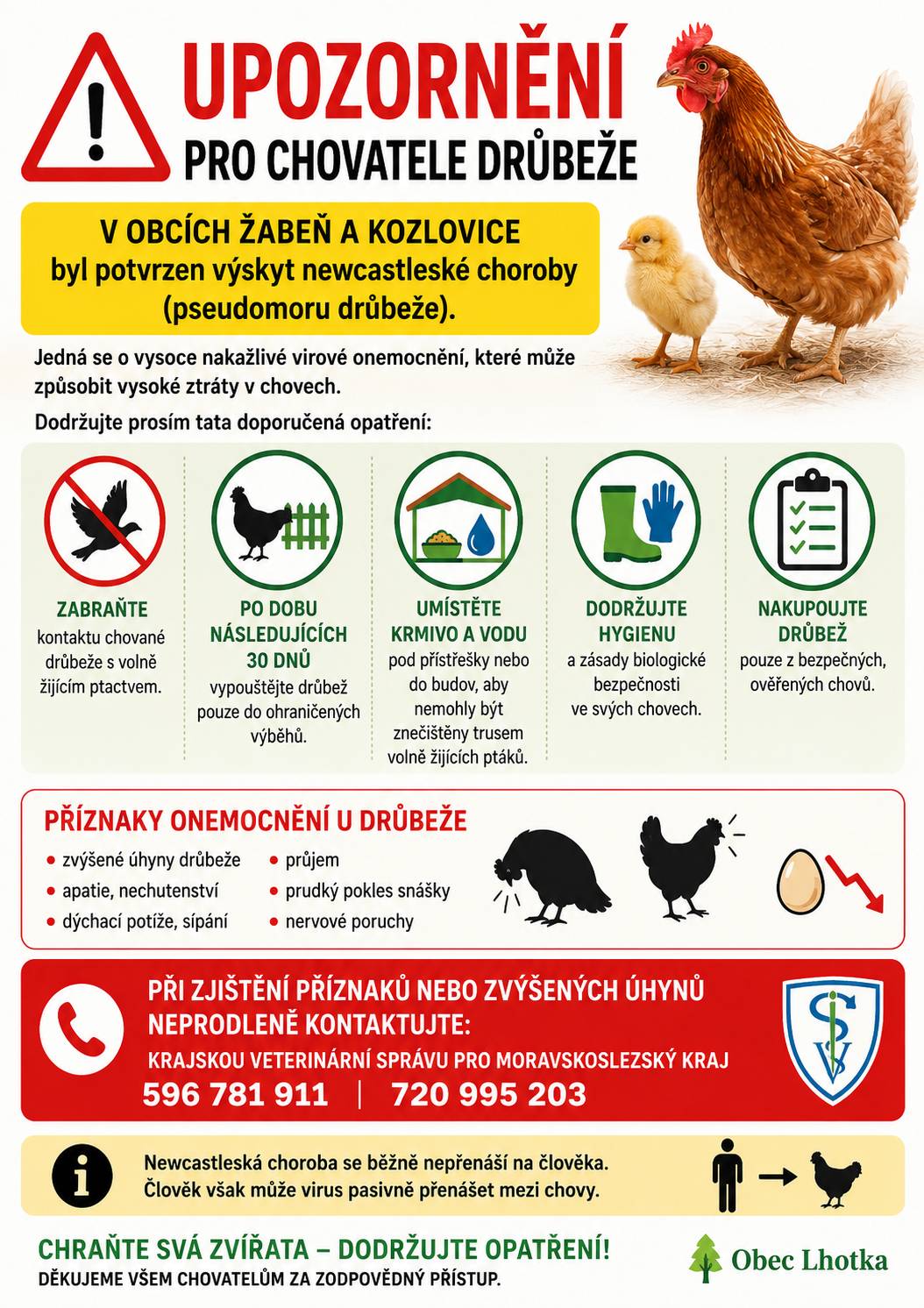 Vážení občané, Krajská veterinární správa pro Moravskoslezský kraj informuje o potvrzeném výskytu newcastleské choroby (pseudomoru drůbeže) v nekomerčních chovech v obcích Žabeň a Kozlovice. Jedná se o vysoce nakažlivé virové onemocnění drůbeže, které může způsobit vysoké ztráty v chovech. Z tohoto důvodu veterinární správa doporučuje všem chovatelům drůbeže a dalších ptáků chovaných v zajetí: 🐔 zabránit kontaktu chované drůbeže s volně žijícím ptactvem, 🐔 po dobu následujících 30 dnů vypouštět drůbež pouze do ohraničených výběhů, 🐔 umístit krmivo a napájecí vodu pod přístřešky nebo do budov tak, aby nemohly být znečištěny trusem volně žijících ptáků, 🐔 důsledně dodržovat hygienu a zásady biologické bezpečnosti v chovech. Mezi příznaky onemocnění patří zejména:  zvýšené úhyny drůbeže, apatie a nechutenství, dýchací potíže, průjem, prudký pokles snášky, nervové poruchy.  Pokud u své drůbeže zaznamenáte uvedené příznaky nebo zvýšené úhyny, neprodleně kontaktujte svého veterinárního lékaře nebo Krajskou veterinární správu pro Moravskoslezský kraj na tel. 596 781 911 nebo 720 995 203. Nemoc se běžně nepřenáší na člověka, člověk však může virus pasivně přenášet mezi chovy. Děkujeme všem chovatelům za zvýšenou opatrnost a dodržování doporučených opatření. Obec Lhotka