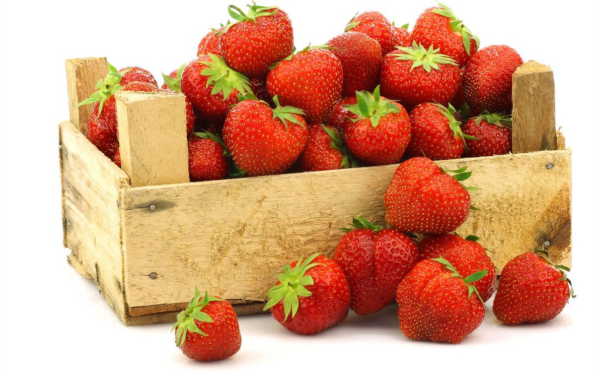 Prodej českých jahod z plantáže proběhne zítra 11.06.2026 u prodejny COOP v čase od 12:00 do 12:20. Cena 99,-Kč/ 1 kg.