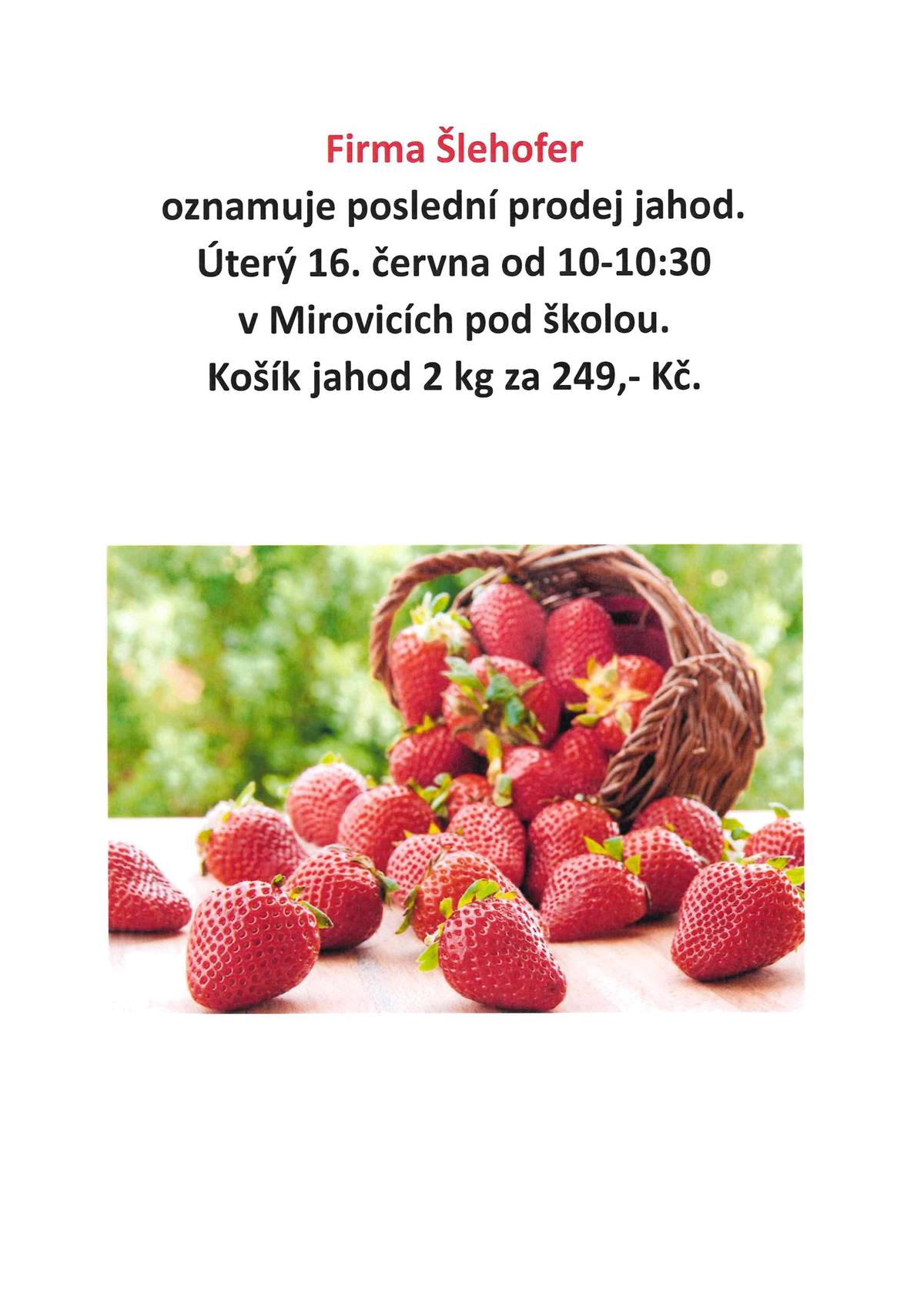 V úterý 16. června se uskuteční poslední prodej jahod v Mirovicích pod školou. Od 10-10:30 hod. Košík jahod 2 kg za 249,- Kč.