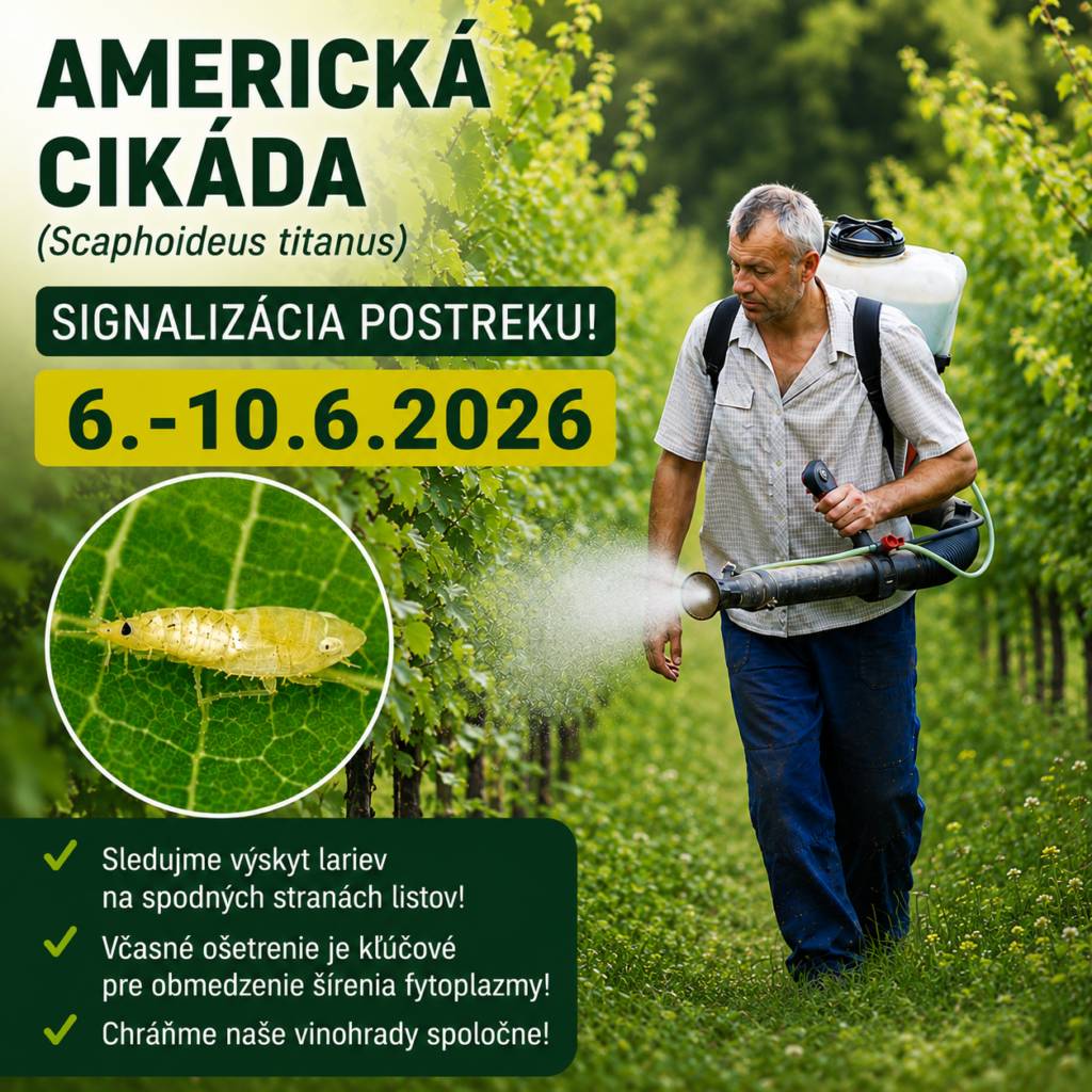 Kalamitná situácia - Zlaté žltnutie viniča