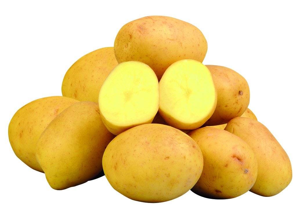 Firma JURIGA z Troskotovic bude v pondělí 22. 6. v 13:30 hodin u hasičské zbrojnice prodávat rané brambory - cena 18 Kč za 1 kg, balení po 10 kg.  JURIGA, s.r.o. Troskotovice 280 671 78 Jiřice u Miroslavi   IČ:26909928 DIČ:CZ26909928   Ivana Bětíková tel.: 724 342 435