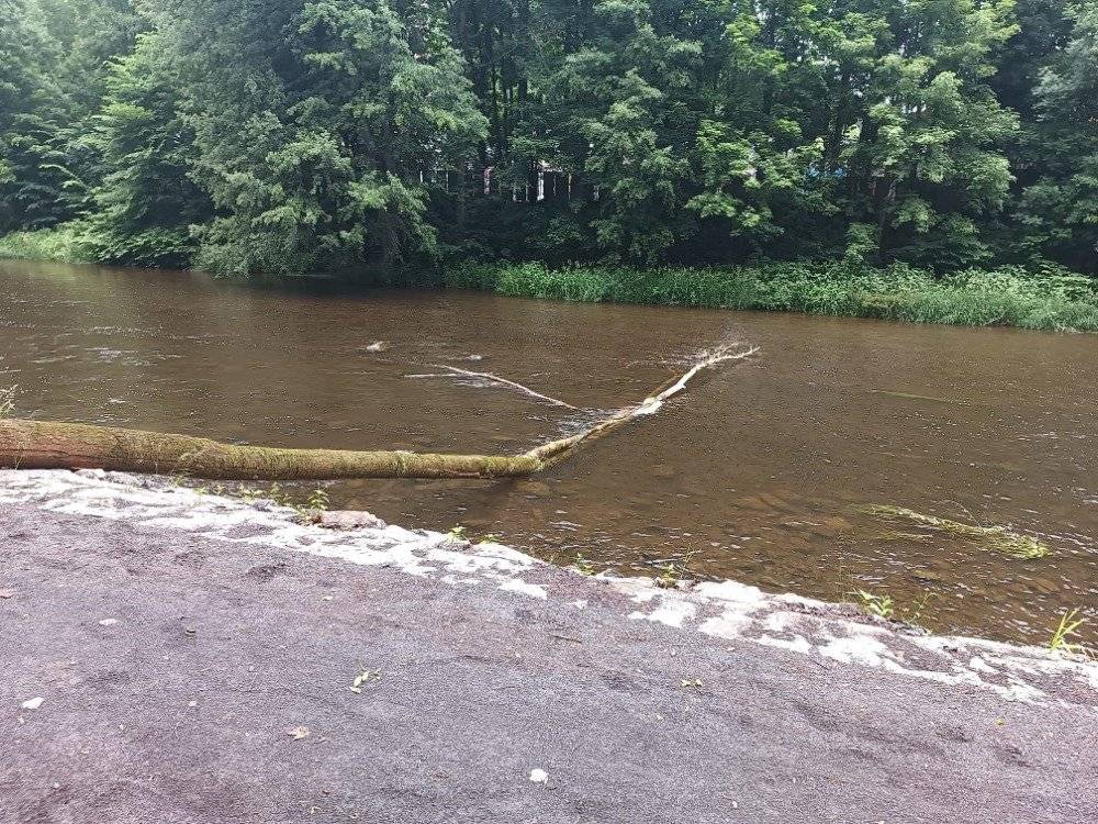 Opozorňujeme návštěvníky Greenway Jizera v úseku Železný Brod-Líšný, že se na cyklostezce vyskytl spadlý strom přes cestu. Dbejte prosím zvýšené opatrnosti. Na odstranění překážky pracujeme.
