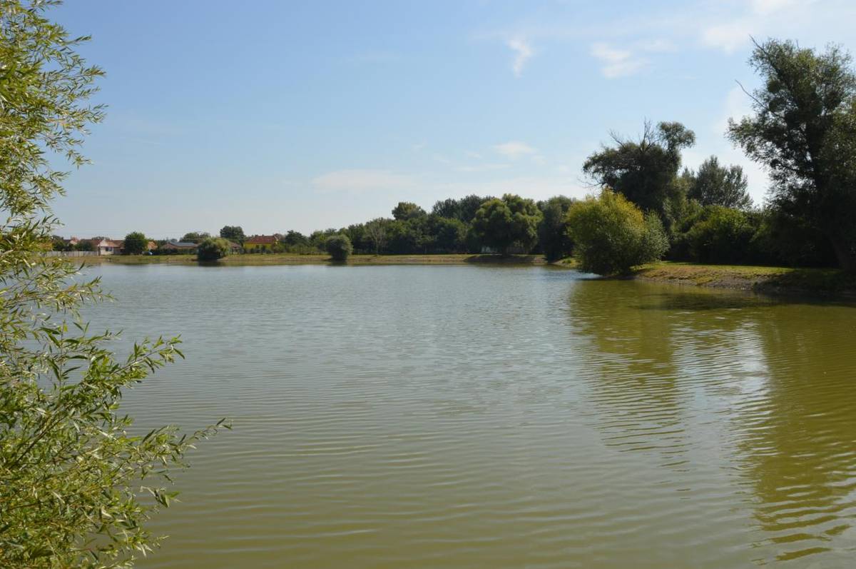 V sobotu 13. června 2026 proběhlo u rybníka Kout setkání s veřejností, během kterého byl představen projekt „Podpora biodiverzity a udržitelného turismu v katastru obce Lanžhot“.  Pro více informací rozklikněte.