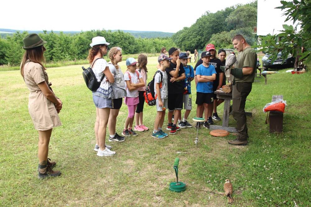 MS Niva Šumice pořádá v sobotu 20.06.2026 od 13.00 hod. na hasičském hřišti Skalka dětský den. Pro děti je připraven skákací hrad, střelba ze vzduchovky a luku, ukázka dravců a myslivecká stanoviště. Občerstvení je zajištěno. Pořadatelé se těší na vaši účast.