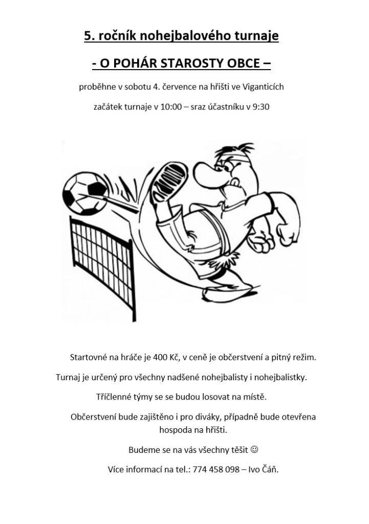 5. ročník nohejbalového turnaje o pohár starosty obce se koná v sobotu 4. července na hřišti ve Viganticích. Turnaj začne v 10:00, sraz účastníků je naplánován na 9:30. Startovné je 400 Kč na hráče, v ceně je občerstvení a pitný režim, takže se máte na co těšit.