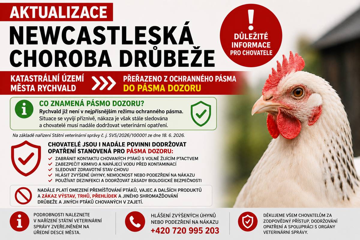 Upozorňujeme chovatele drůbeže a jiných ptáků chovaných v zajetí, že katastrální území Rychvald bylo v souvislosti s výskytem Newcastleské choroby drůbeže přeřazeno z ochranného pásma do pásma dozoru, a to na základě nařízení Státní veterinární správy č. j. SVS/2026/100001 ze dne 18. 6. 2026, které bylo uveřejněno na úřední desce města. Přeřazení do pásma dozoru je pozitivním signálem, který znamená, že situace se vyvíjí příznivě a Rychvald již není zařazen v nejpřísnějším režimu ochranného pásma. Riziko šíření nákazy však stále trvá, a proto je nezbytné nadále dodržovat stanovená veterinární opatření. Chovatelé jsou i nadále povinni dodržovat opatření stanovená pro pásmo dozoru, zejména držet ptáky odděleně od volně žijícího ptactva, zabezpečit krmivo a napájecí vodu před kontaminací, sledovat zdravotní stav chovu, hlásit zvýšené úhyny, nemocnost nebo podezření z nákazy Krajské veterinární správě Státní veterinární správy pro Moravskoslezský kraj, používat dezinfekci a dodržovat zásady biologické bezpečnosti. Nadále platí rovněž omezení přemísťování ptáků, vajec a dalších produktů, jakož i zákaz výstav, trhů, přehlídek a jiného shromažďování drůbeže a jiných ptáků chovaných v zajetí. Děkujeme všem chovatelům za dodržování stanovených opatření, součinnost s orgány veterinární správy a odpovědný přístup, kterým přispívají k omezení rizika dalšího šíření nákazy.