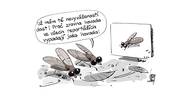 KEMEL: Hovada vypadají jako hovada