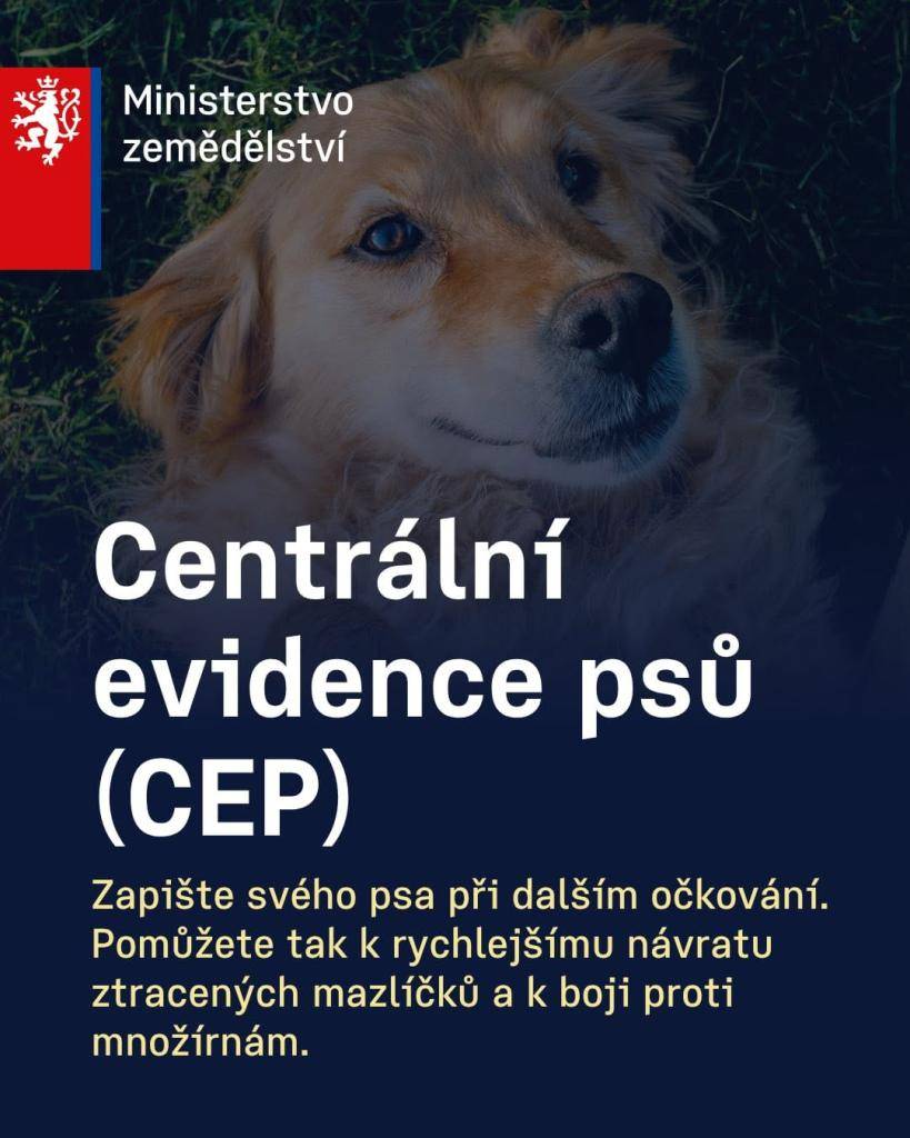 Centrální evidence psů (CEP): Proč vlastně vzniká a k čemu je dobrá? Zde jsou hlavní přínosy PODLE MINISTERSTVA ZEMĚDĚLSTVÍ: